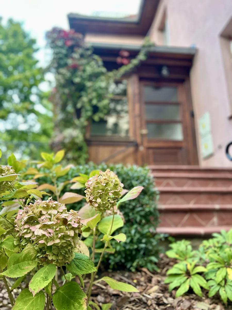 Ćwiczenia na świeżym powietrzu