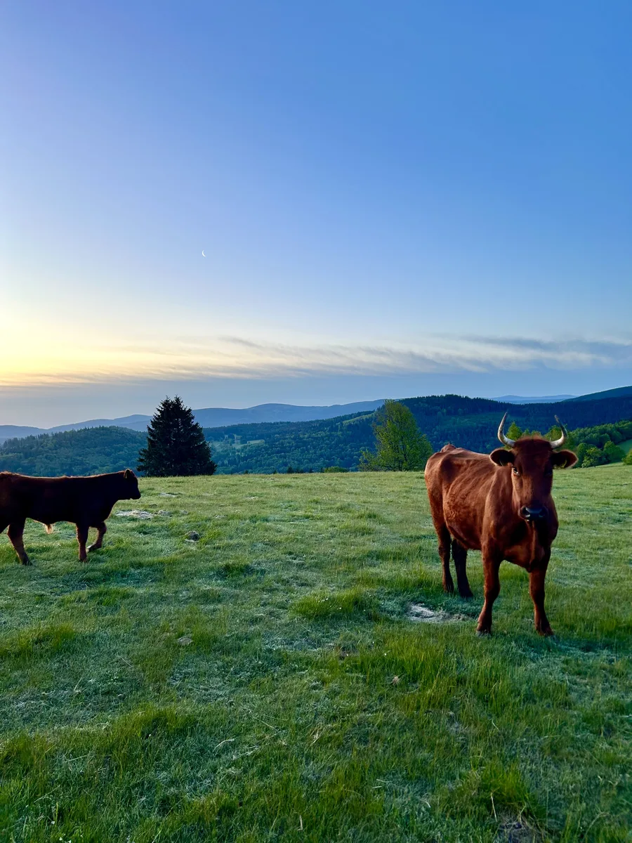 Atmosfera wyjazdu pilatesowego